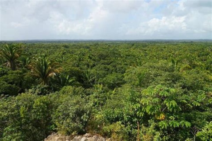 A Historical And Natural Odyssey
