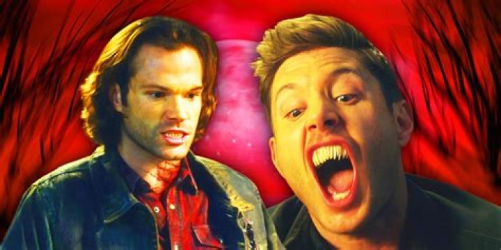 A Journey Into Wit And The Supernatural