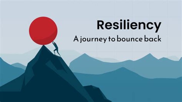 A Journey Of Experience And Resilience