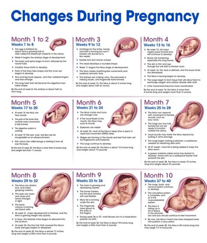 Brianna Marie Keilar's Pregnancy Journey Explored