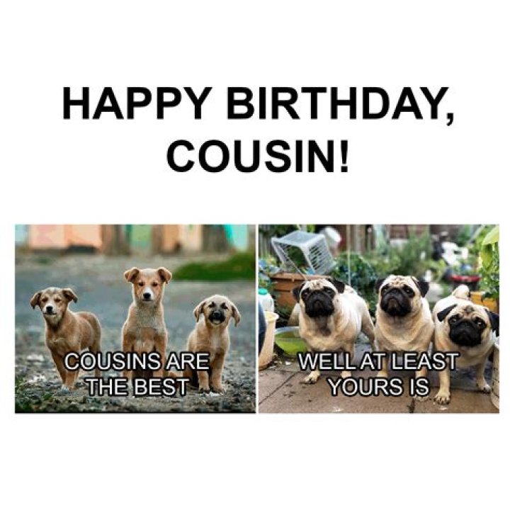 Discover Irresistible Funny Cousin Birthday Memes