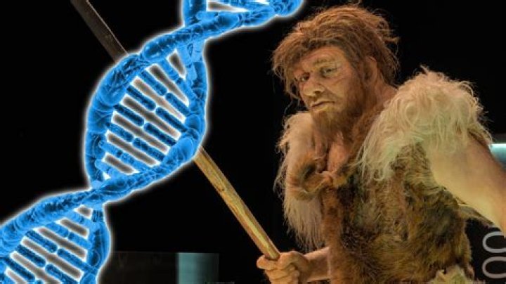 Exploring The Genetic Legacy Of Zach Edey's Parents