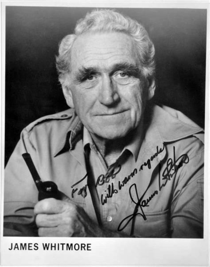 Exploring The World Of James Whitmore Jr.