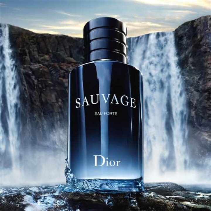 How Much Is Dess Dior Worth?