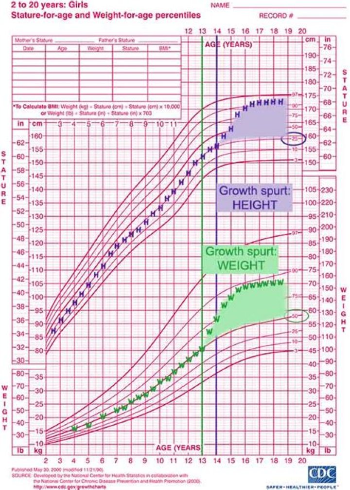Louis Cole's Height And Its Impact