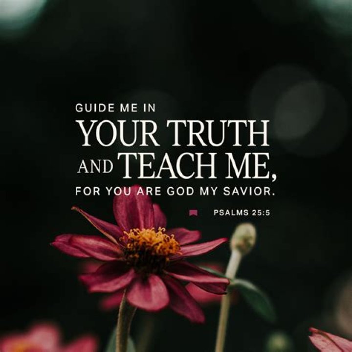 The Fascinating Truth Behind Psalms And Love