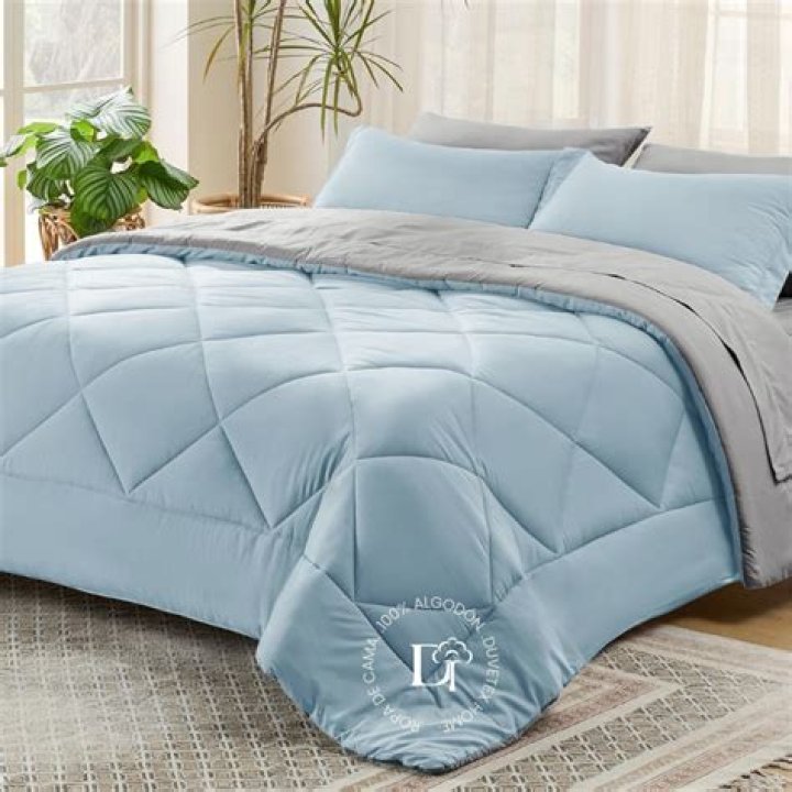 The Ultimate Guide To Bedsure Comforters