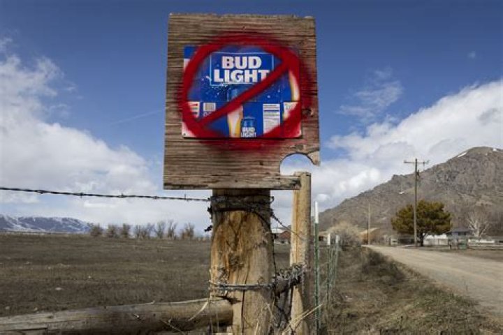 Uncover The Secrets Of Bud Light's Consumer Base: Demographics Revealed