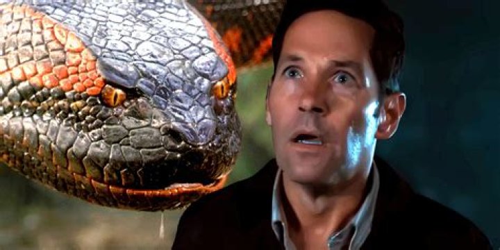 Unlocking The Secrets Of Paul Rudd's Height: A Comprehensive Guide