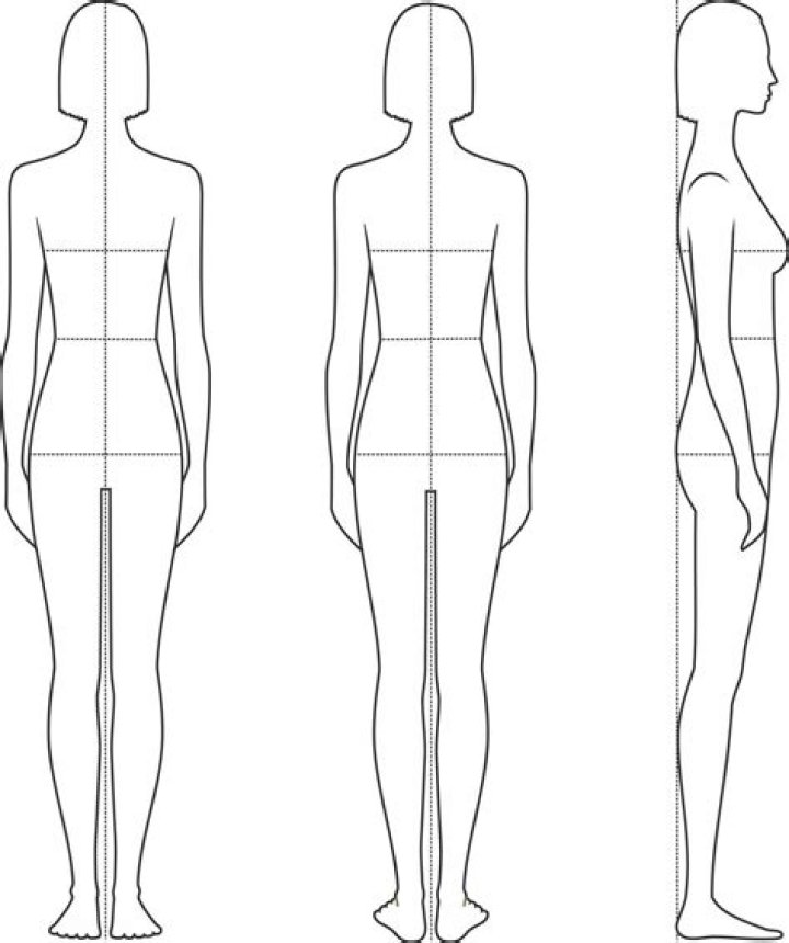 Unveiling A Model's Ideal Proportions