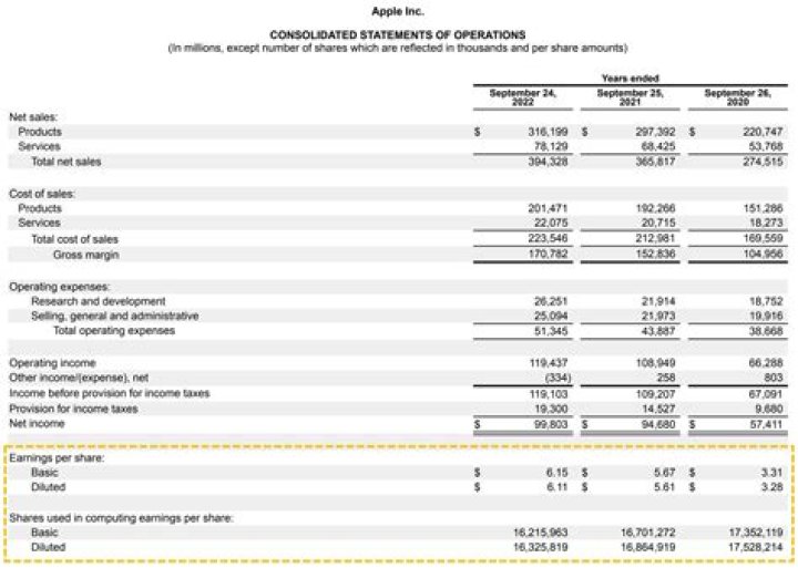 Unveiling Evelyn Ha's Earnings: Insights And Revelations
