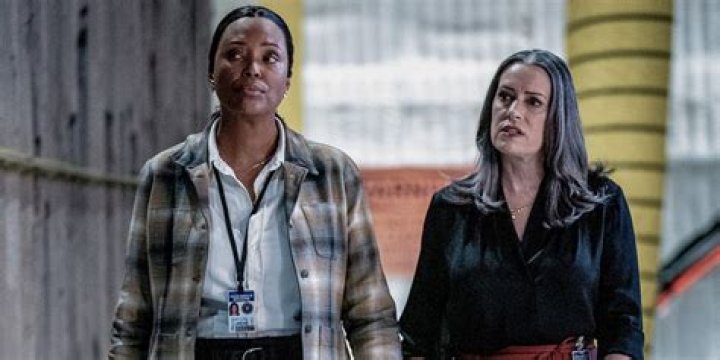 Unveiling Paget Brewster's Height: Surprising Insights And Revelations