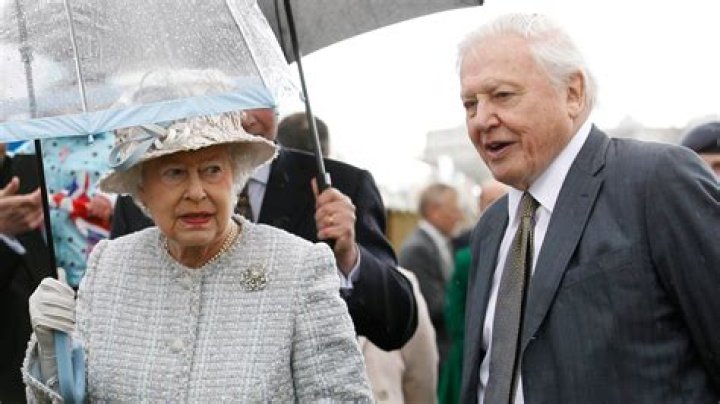 Unveiling The Extraordinary Accomplishments Of David Attenborough