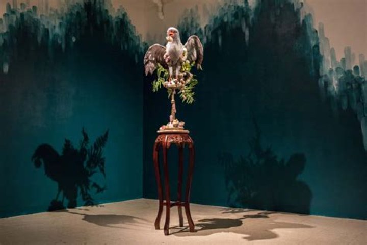 Unveiling The Multifaceted World Of Maria Bracini: Discoveries And Insights